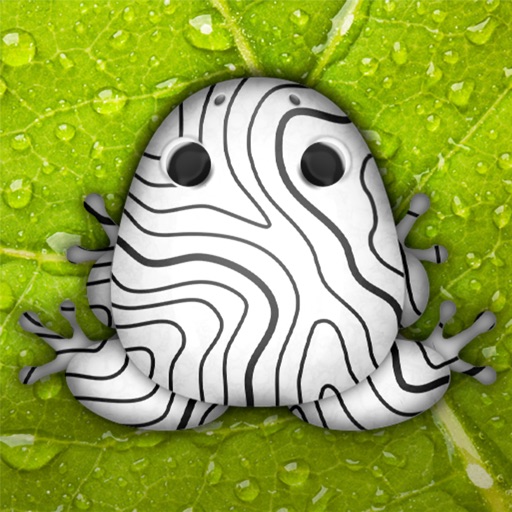 Pocket Frogs: Tiny Pond Keeper For