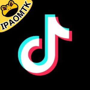 TikTok icon