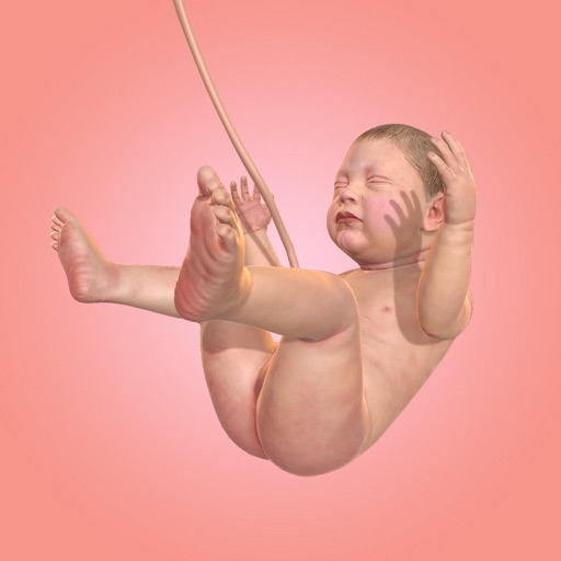 Idle 9 Months For