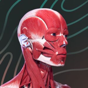 Easy Anatomy 3D with Voice AI For icon